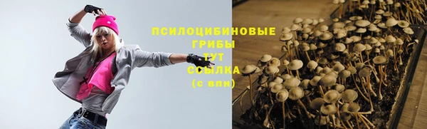 прущие крисы Баксан