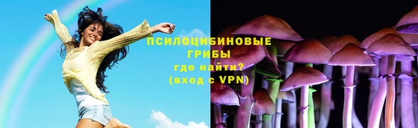 крисы Балахна