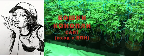 прущие крисы Баксан