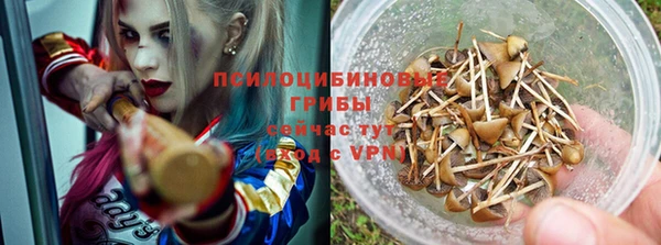 прущие крисы Баксан