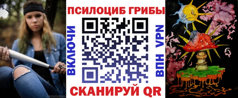 наркота  omg ONION  Галлюциногенные грибы Cubensis  Верея 